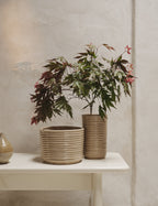 Corduroy Vase by Ferm Living