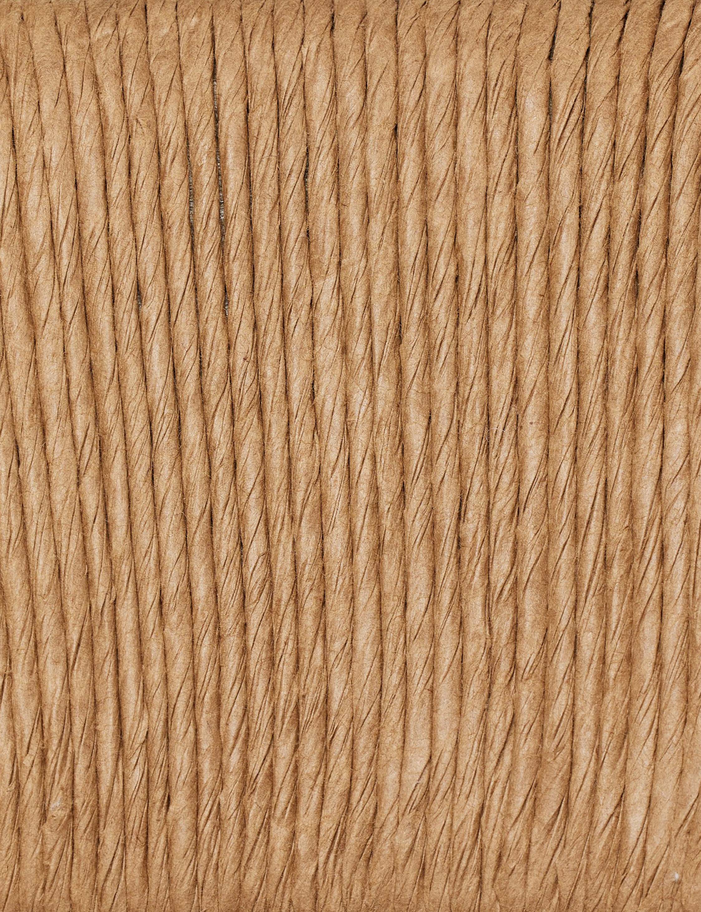 Hainey Dining Chair