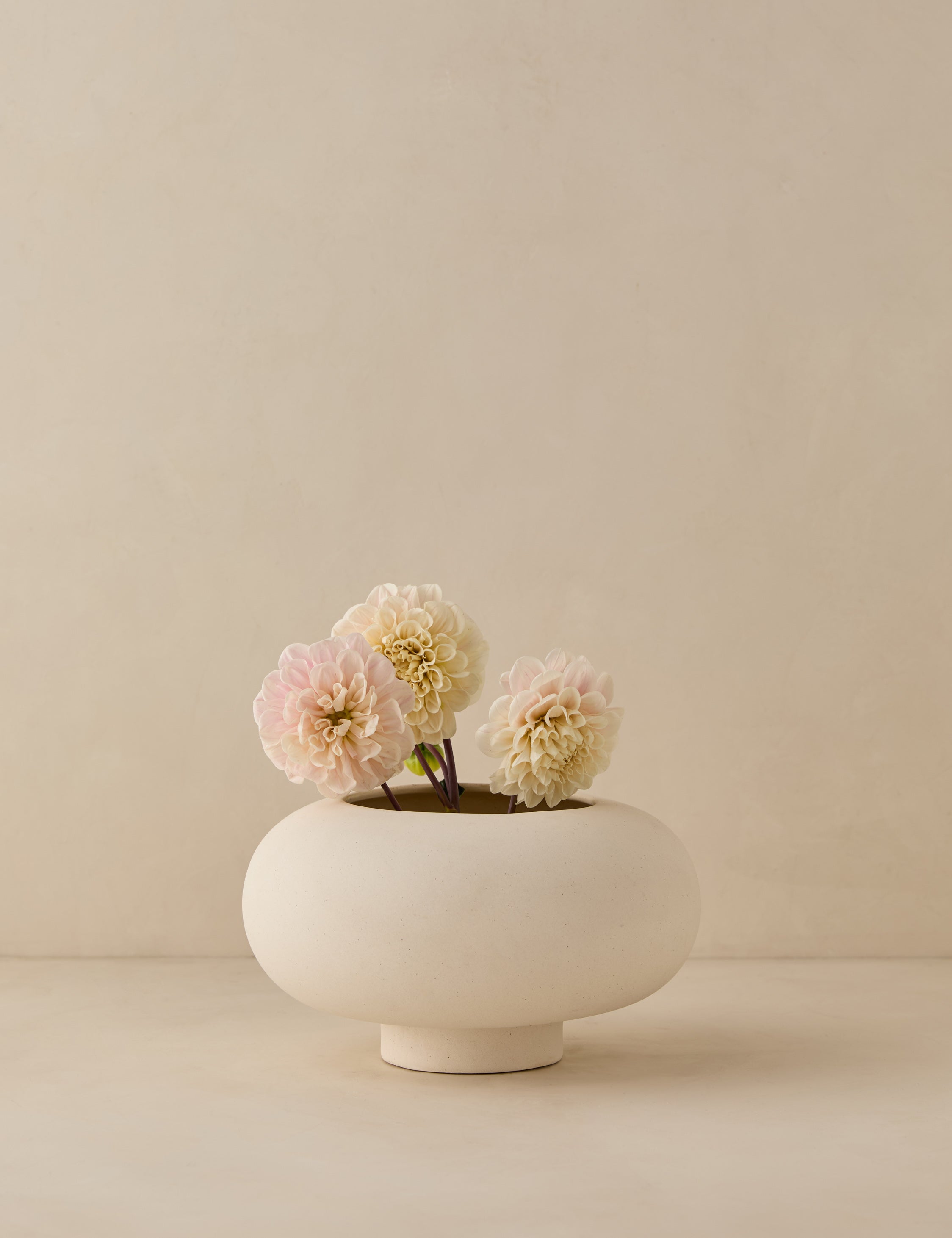 Coperta Bowl