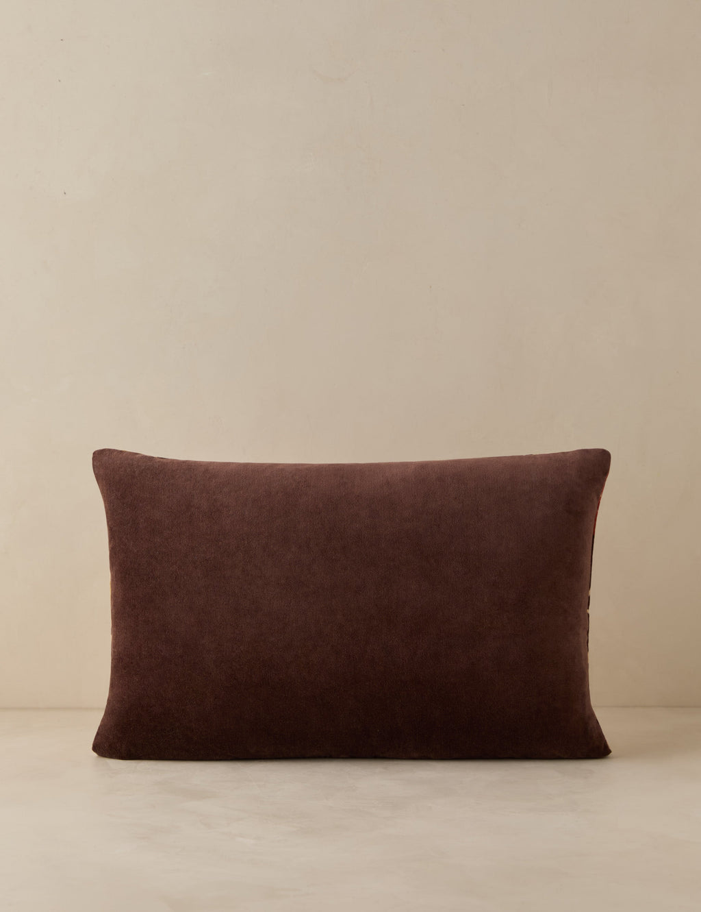Corabel Velvet Pillow