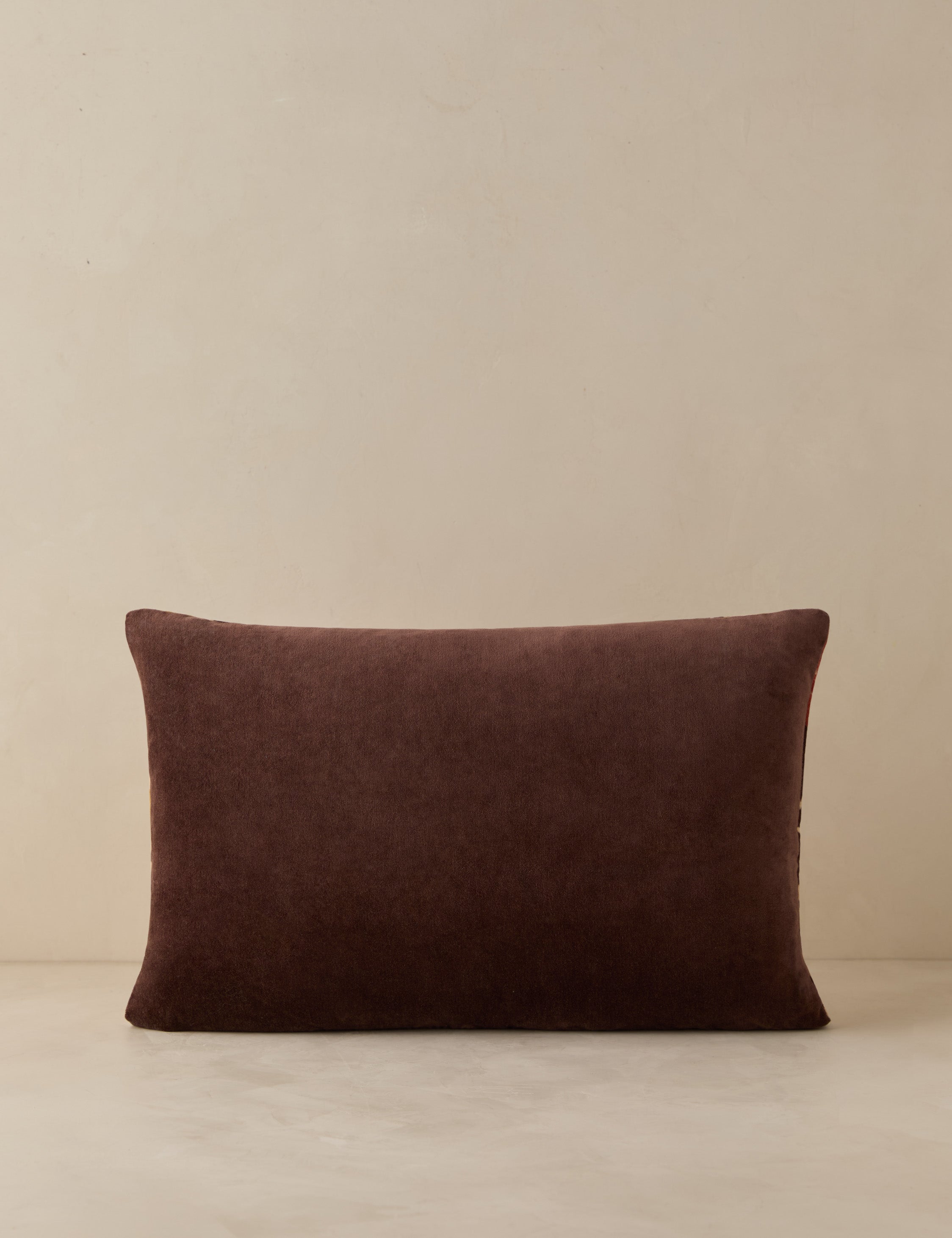 Corabel Velvet Pillow