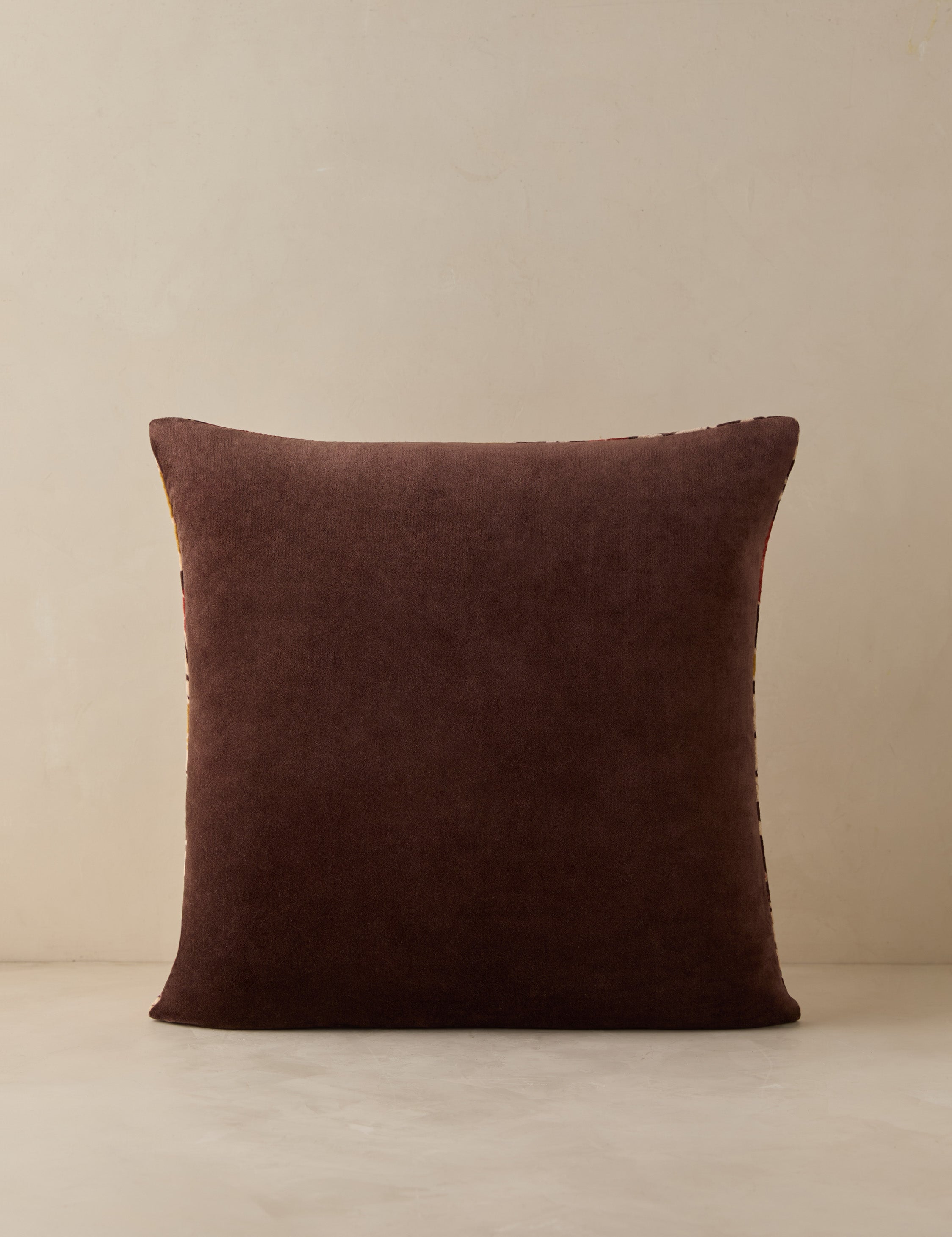 Corabel Velvet Pillow