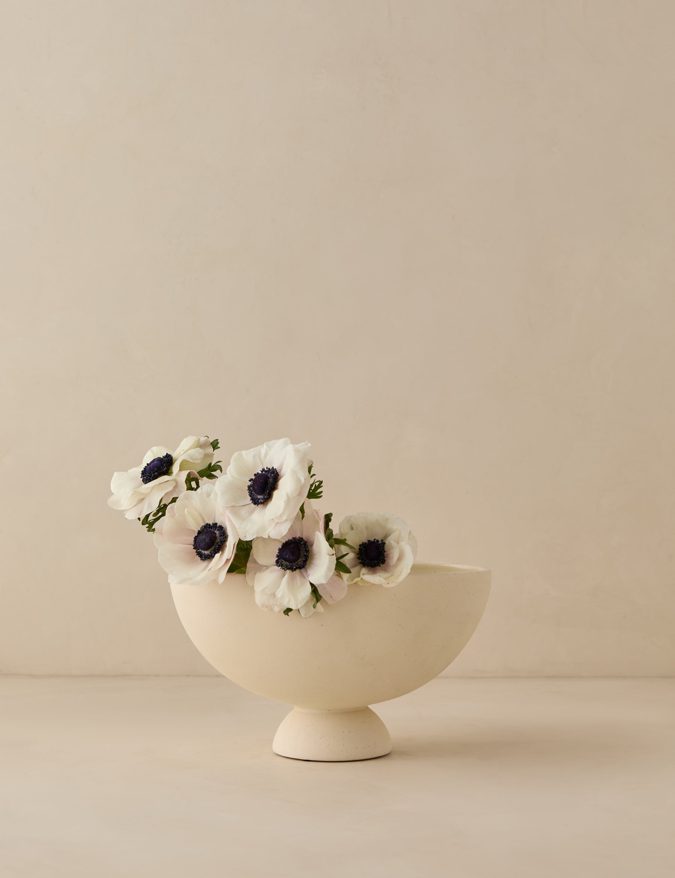 Donato Bowl