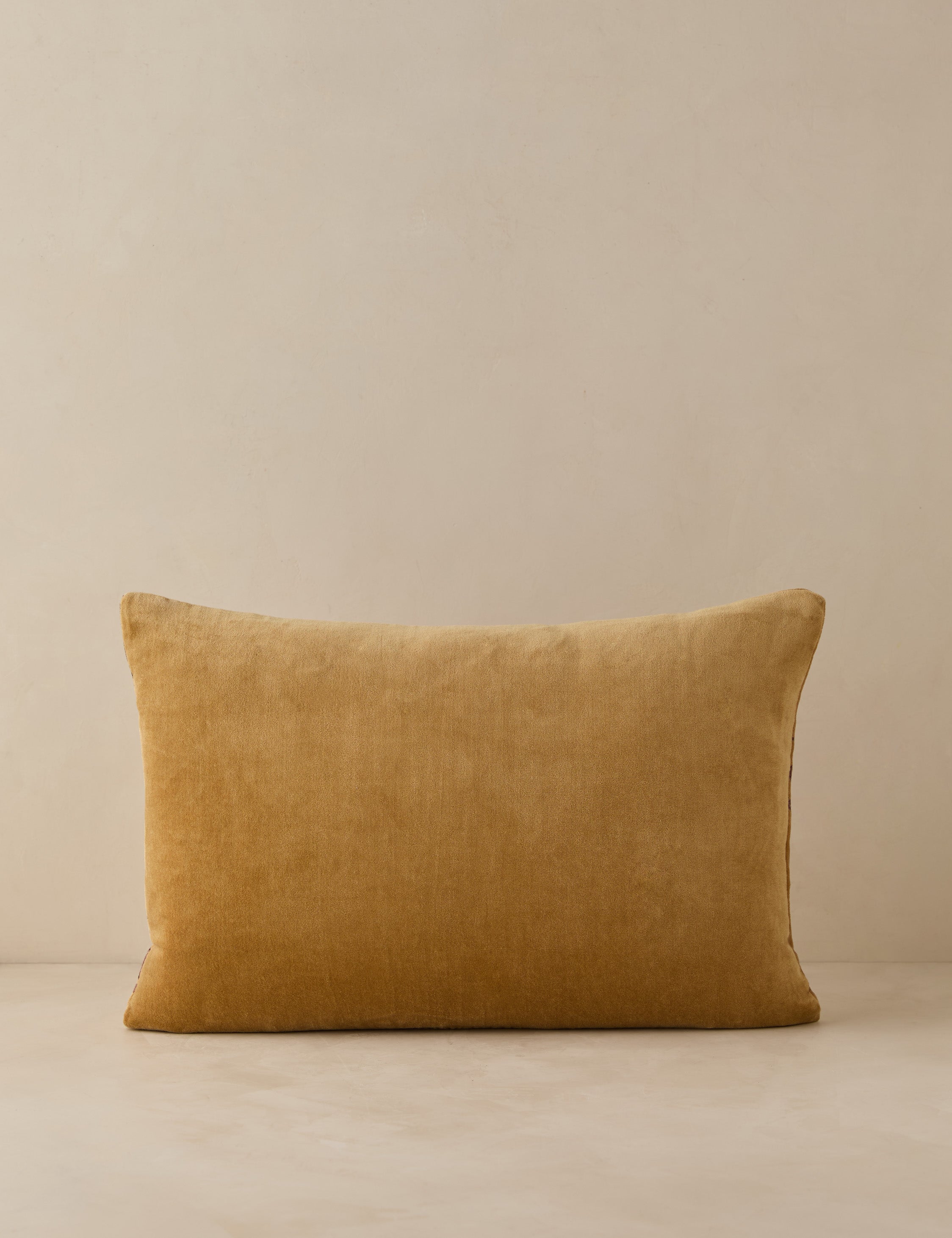 Montreal Velvet Pillow