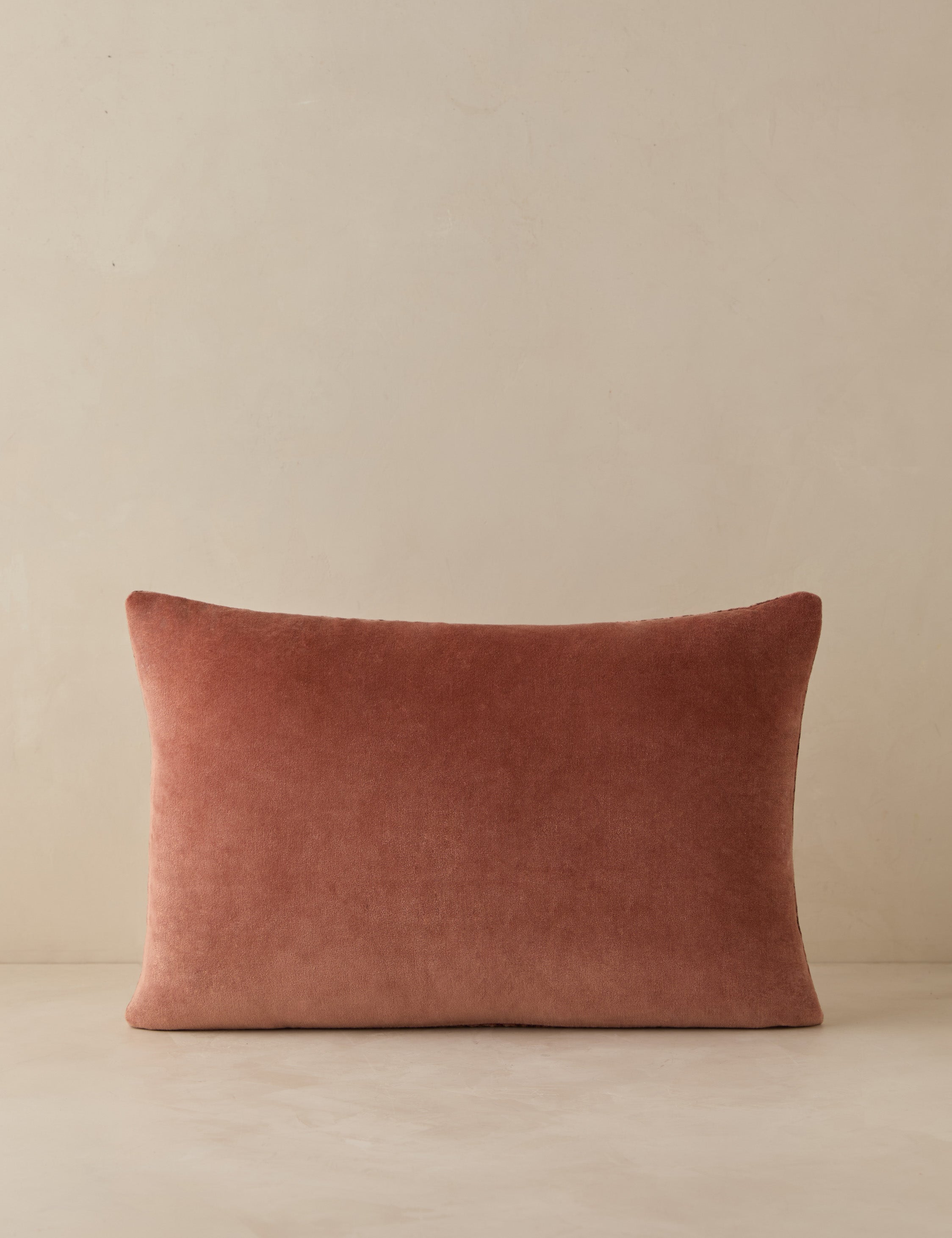 Sandell Velvet Pillow
