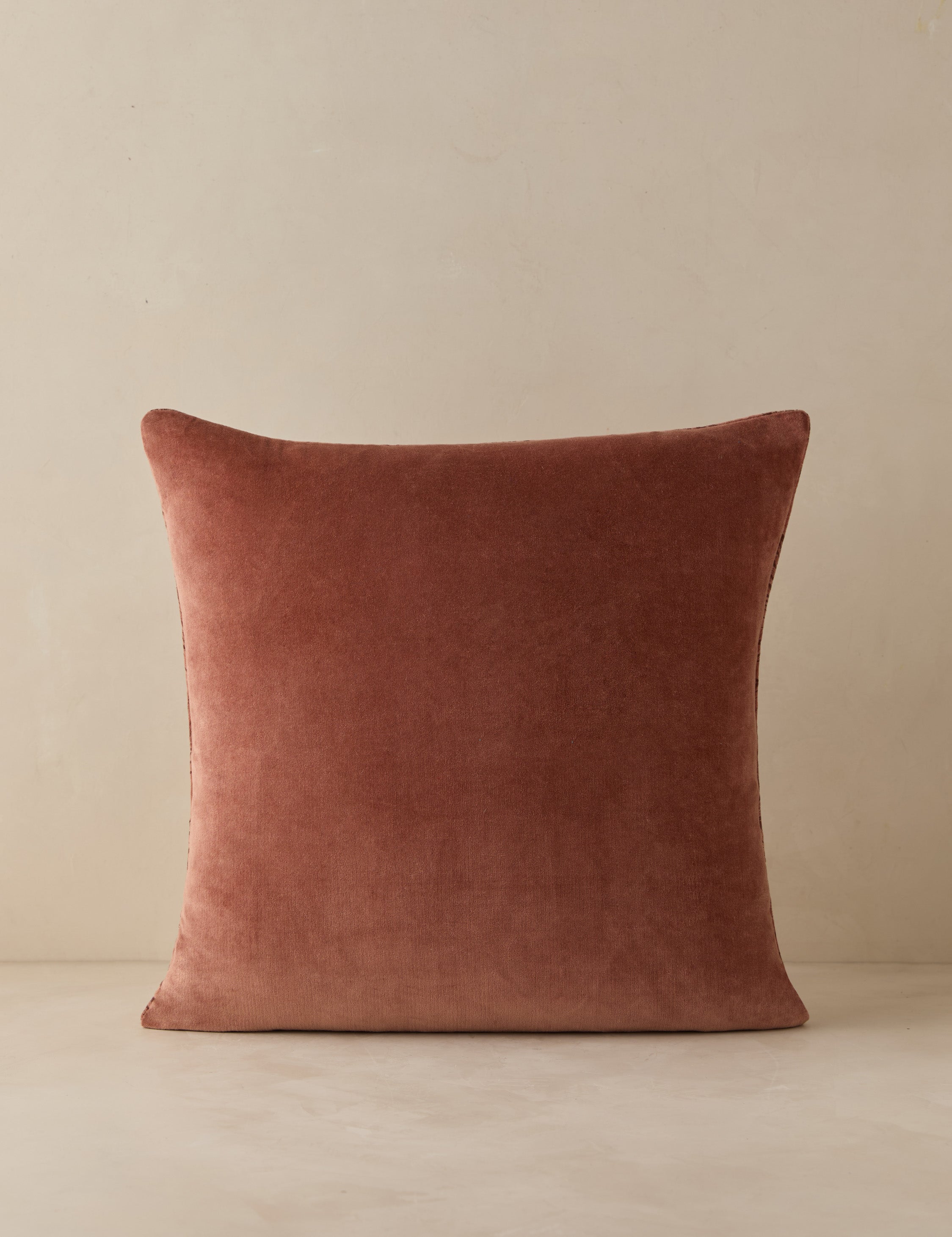 Sandell Velvet Pillow